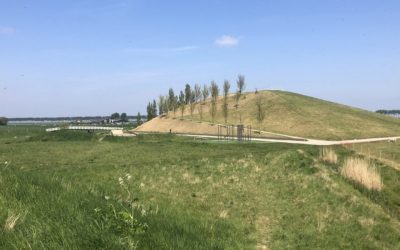 Herstelwerkzaamheden skatebaan Vliedpark