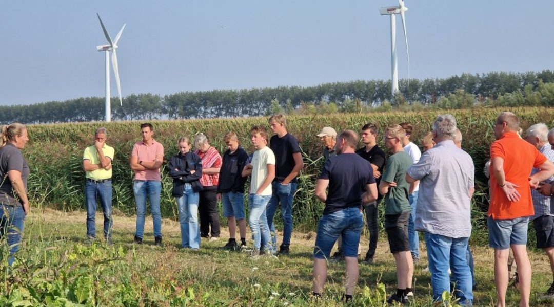 Open dag Proeftuin Van Pallandtpolder: kennis opdoen en samenwerken