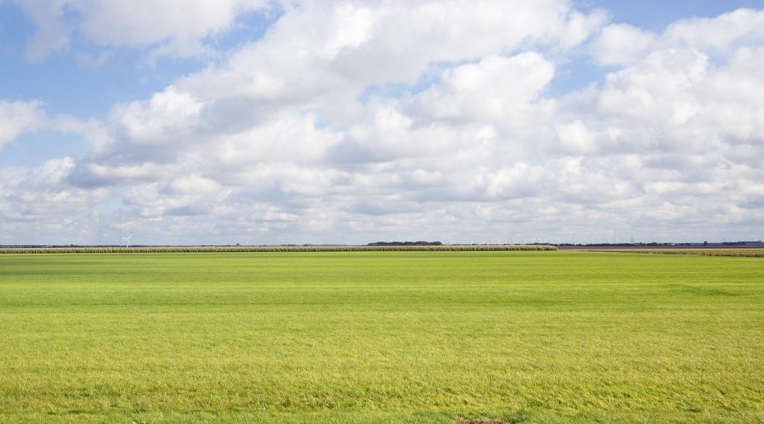 Provincie koopt ruilgrond aan op Kop van Goeree