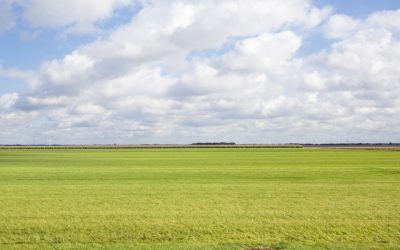 Provincie koopt ruilgrond aan op Kop van Goeree