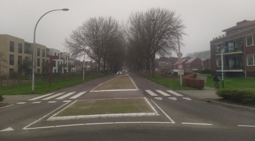 Verkeershinder door snoeien langs Oosterweg Ouddorp