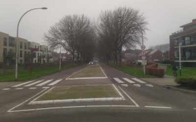 Verkeershinder door snoeien langs Oosterweg Ouddorp