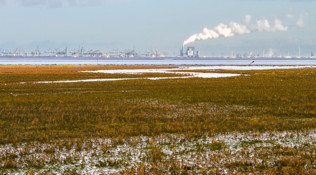 Toekomstperspectief verzanding Haringvlietmonding