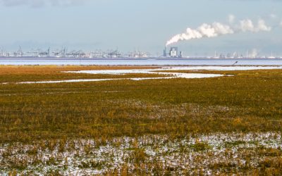 Toekomstperspectief verzanding Haringvlietmonding